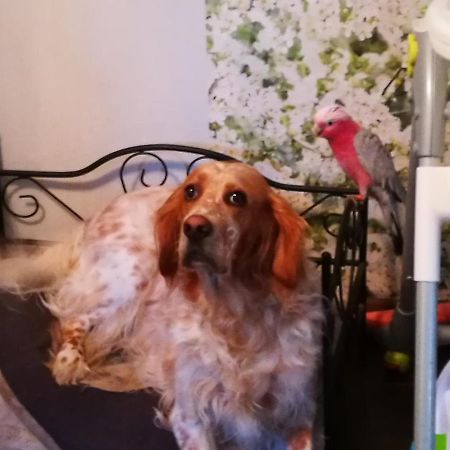 Celine Et Jose Apartman Cubzac-les-Ponts Kültér fotó