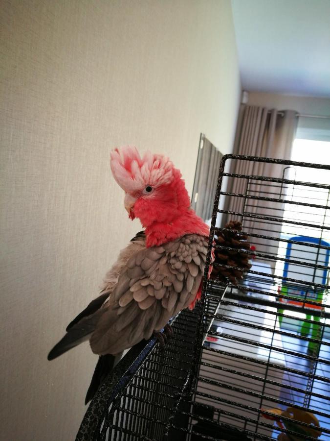 Celine Et Jose Apartman Cubzac-les-Ponts Kültér fotó
